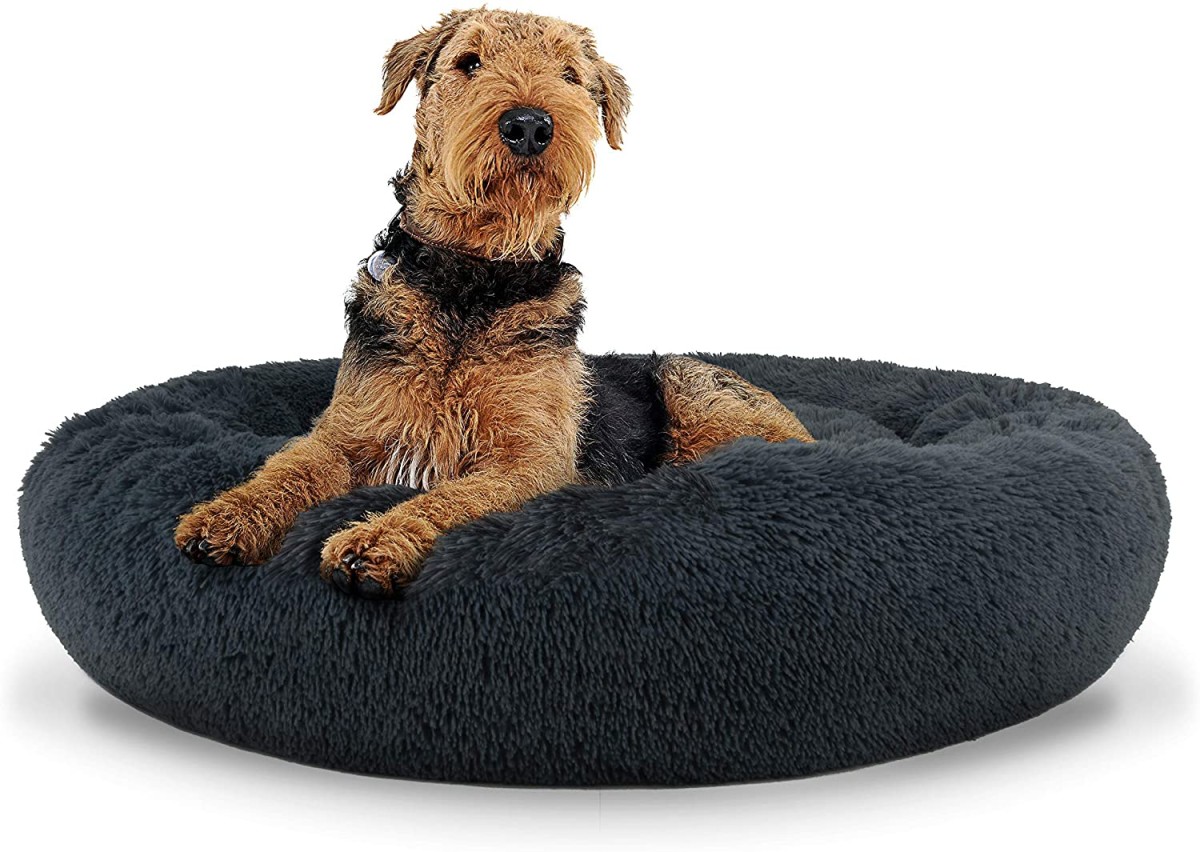L dark grey_dog.jpg