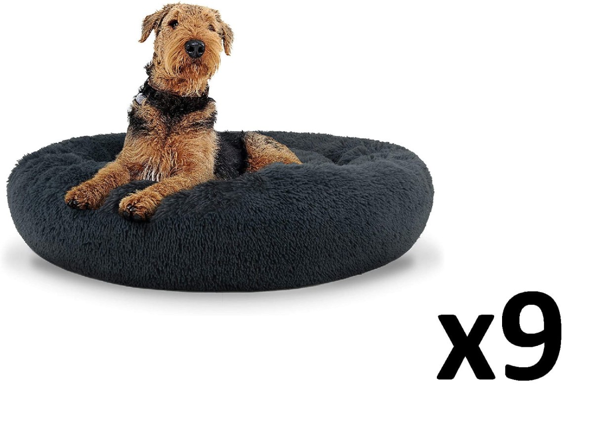 L dark grey_dog 80 x9.jpg