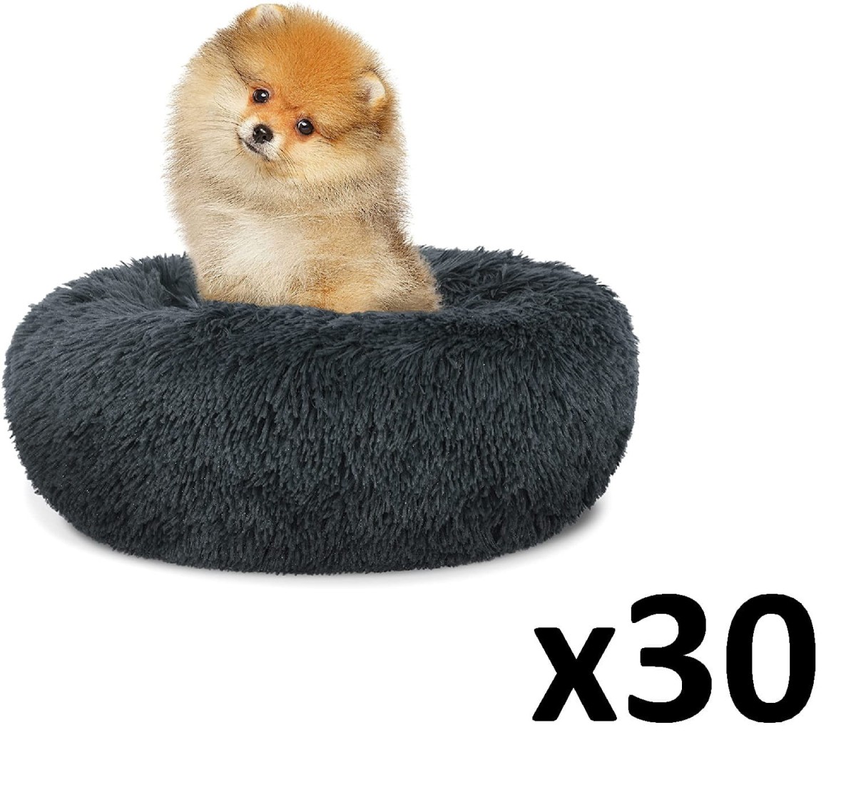 S_dark grey_dog 40 x30.jpg