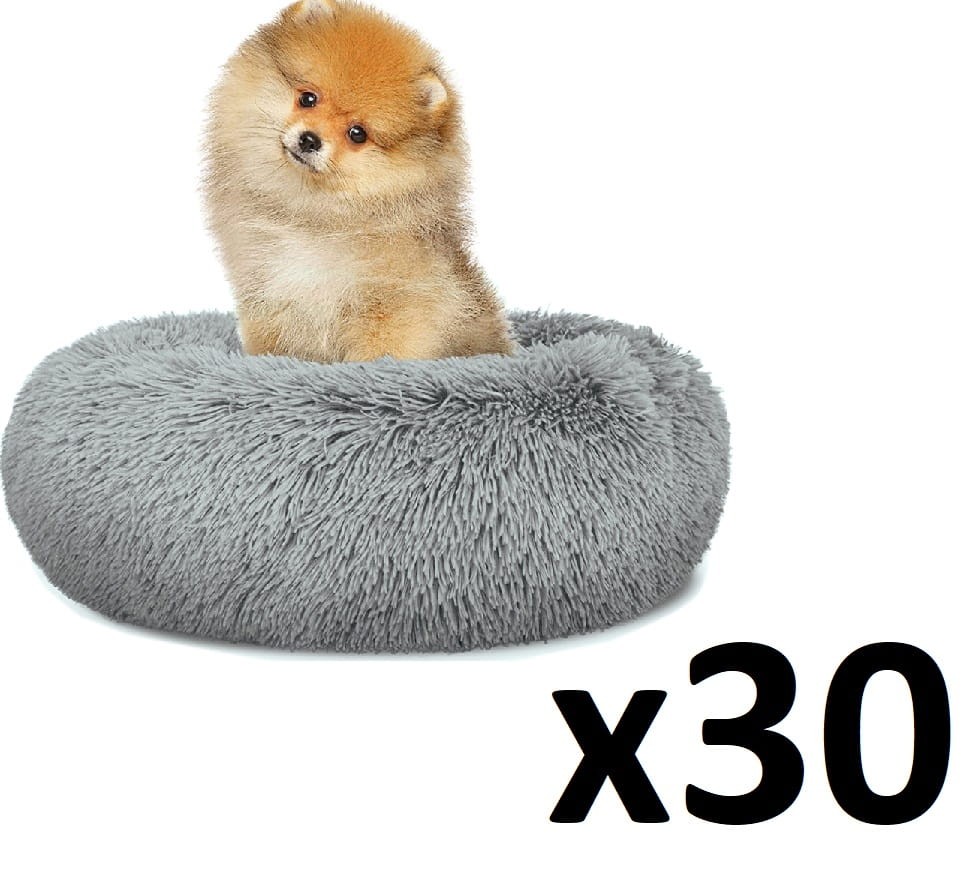 S_grey_dog-Leobert6 40 x30.jpg